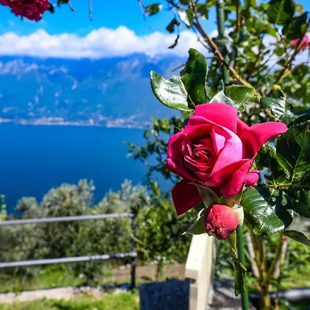 Albicocca דירה טיניאלה